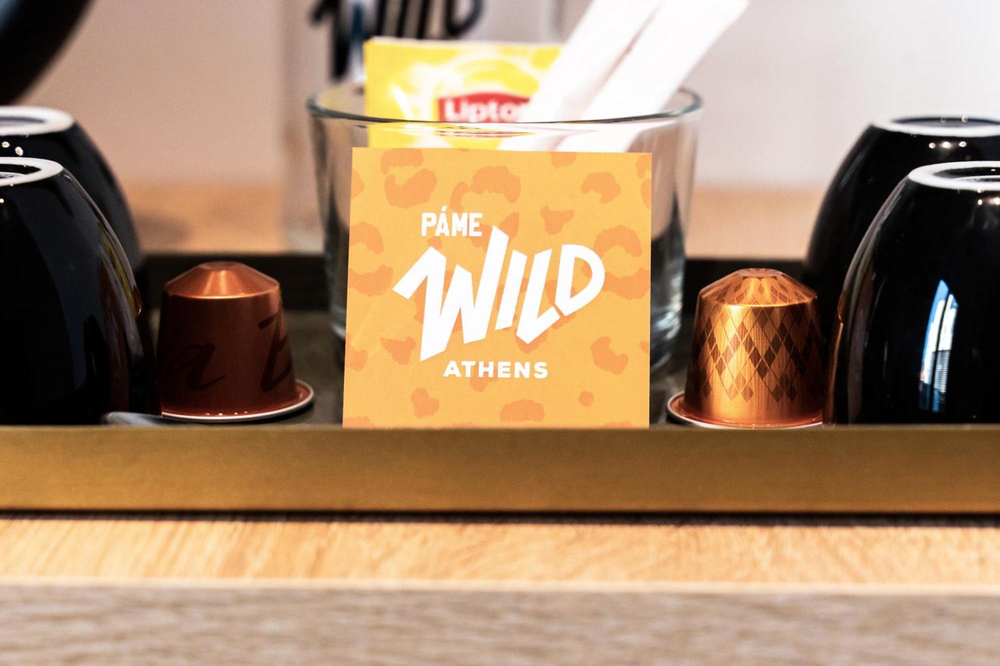 Hotel Pame Wild Ateny Pokój zdjęcie